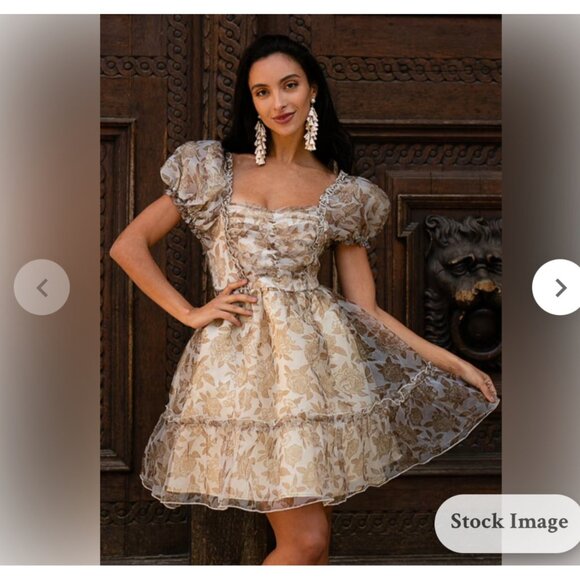 Joyfolie perla dress in neutral Floral Puff Sleeve Mini Beige & Brown Size Large - Picture 1 of 15
